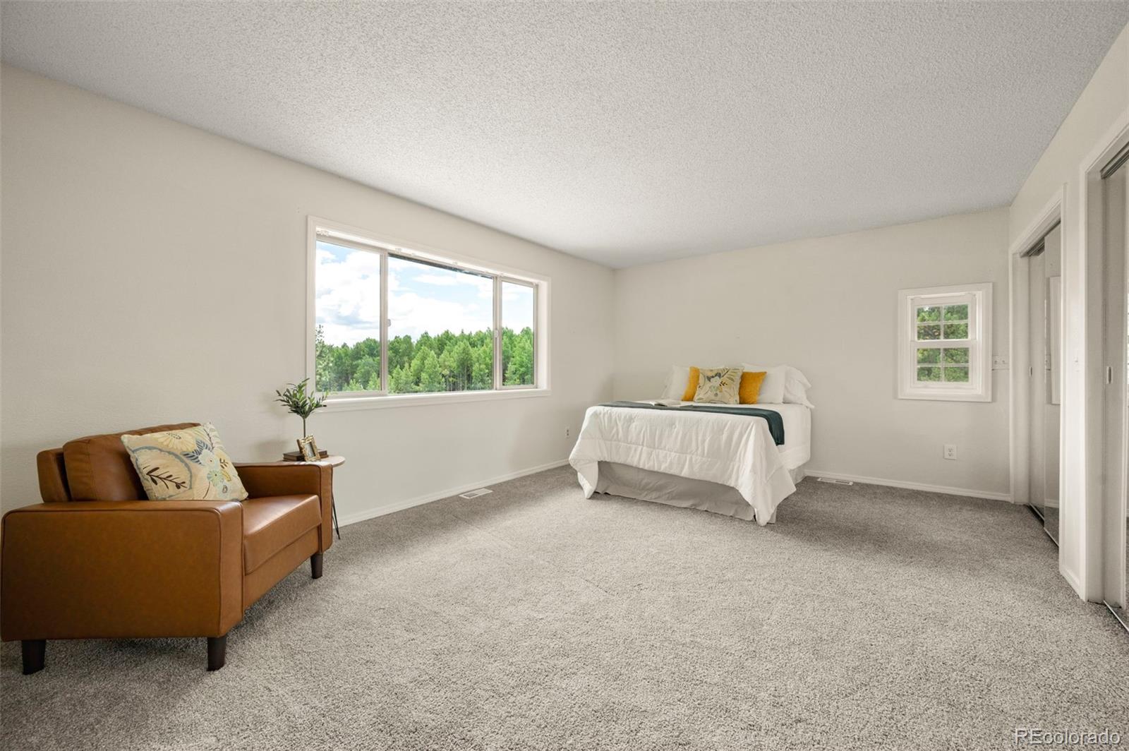 MLS Image #13 for 4710  wildhorn road,florissant, Colorado