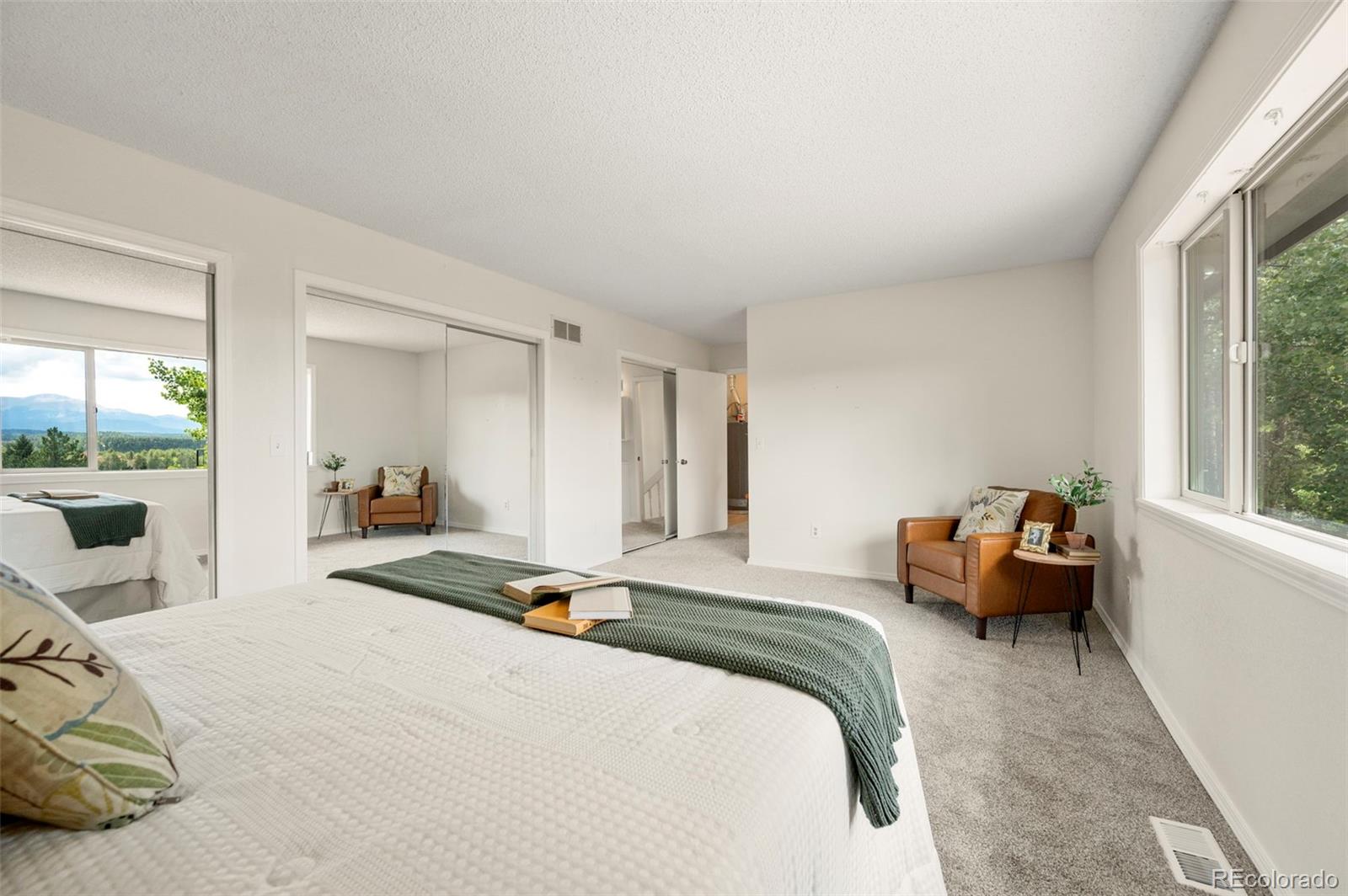 MLS Image #14 for 4710  wildhorn road,florissant, Colorado
