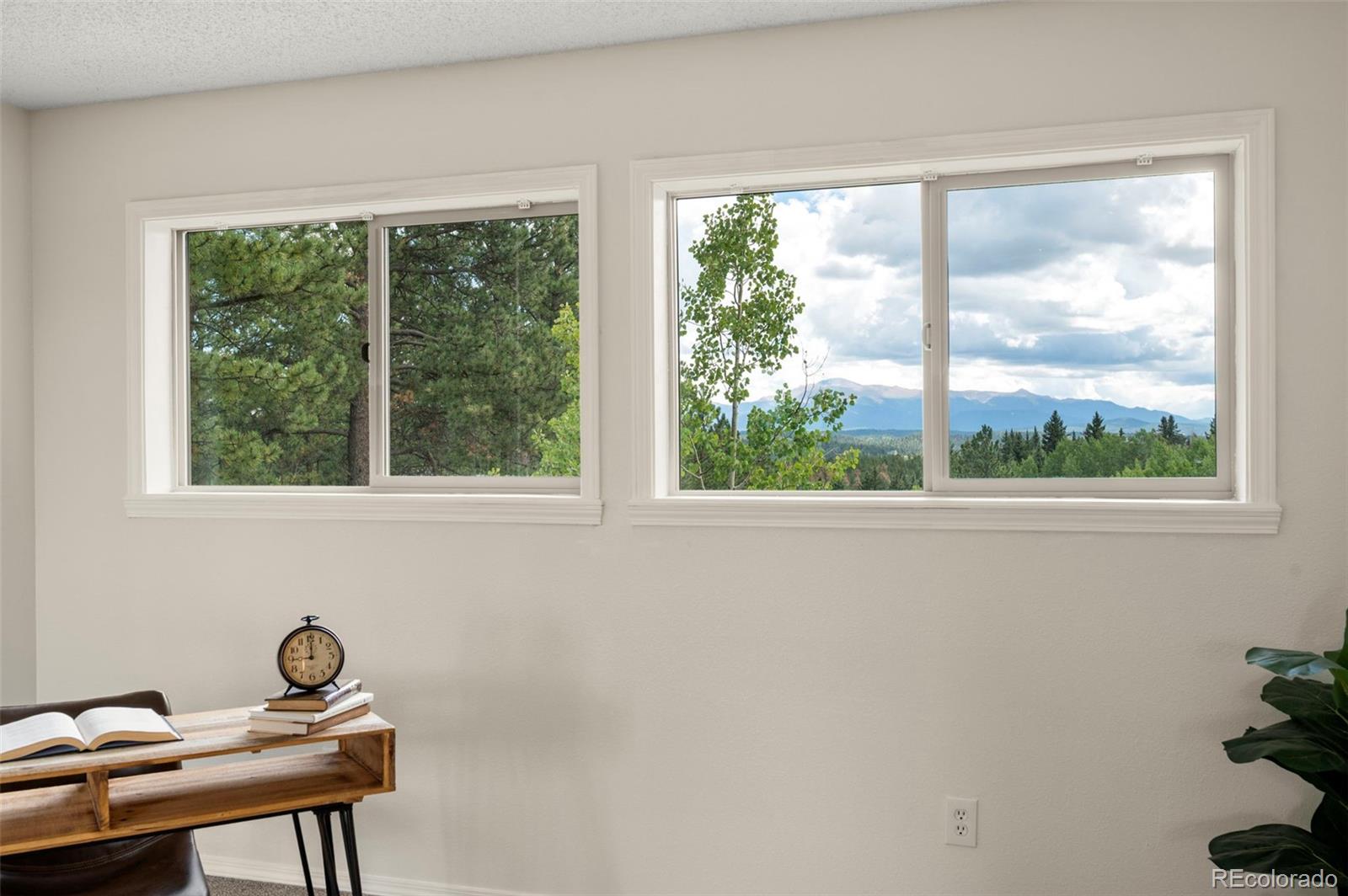 MLS Image #19 for 4710  wildhorn road,florissant, Colorado