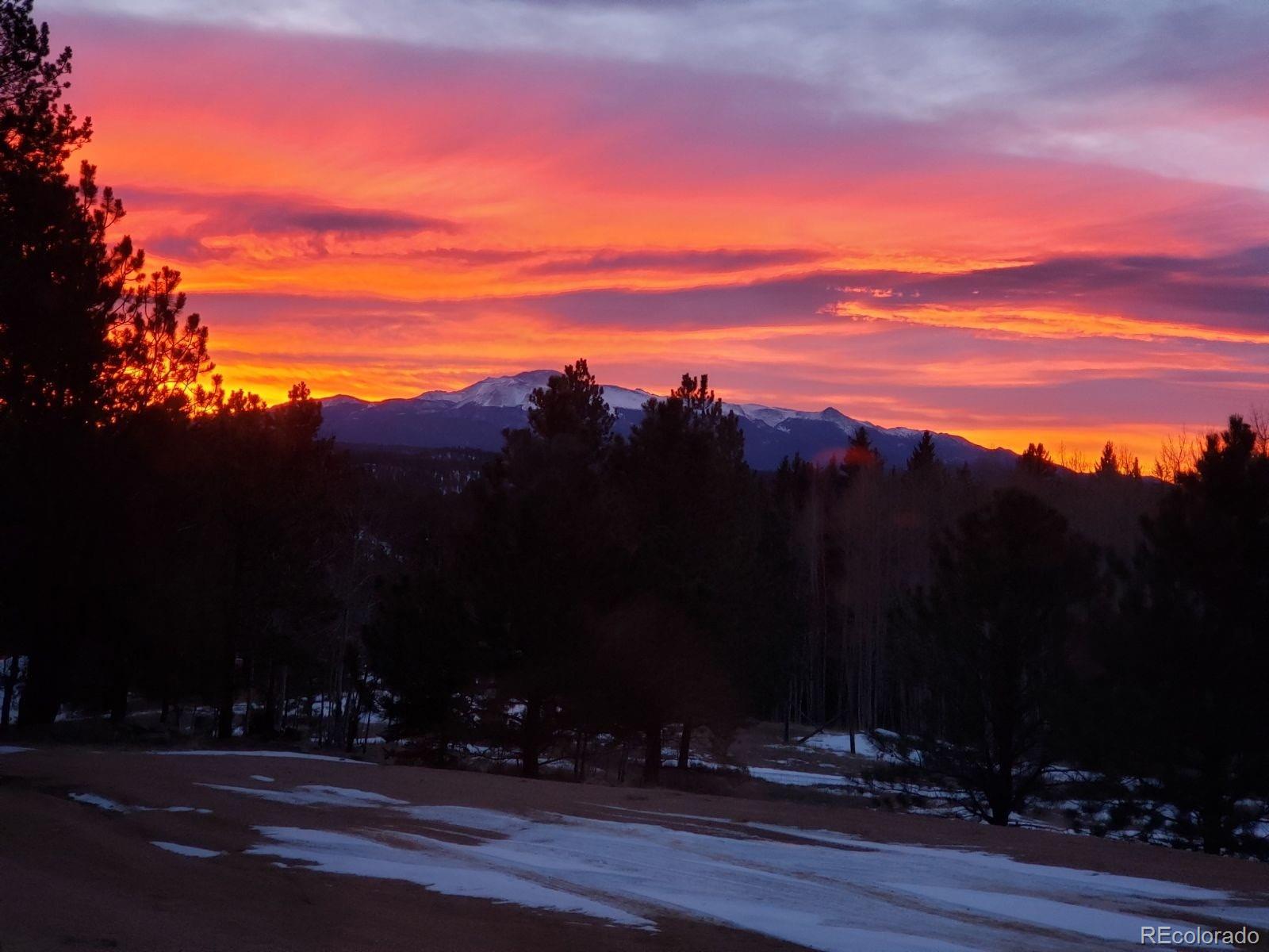 MLS Image #41 for 4710  wildhorn road,florissant, Colorado
