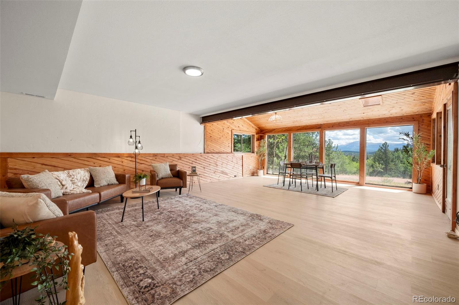 MLS Image #8 for 4710  wildhorn road,florissant, Colorado