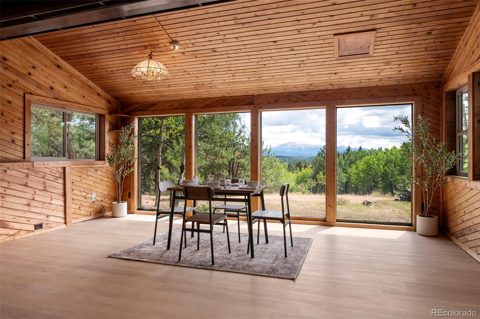 MLS Image #9 for 4710  wildhorn road,florissant, Colorado