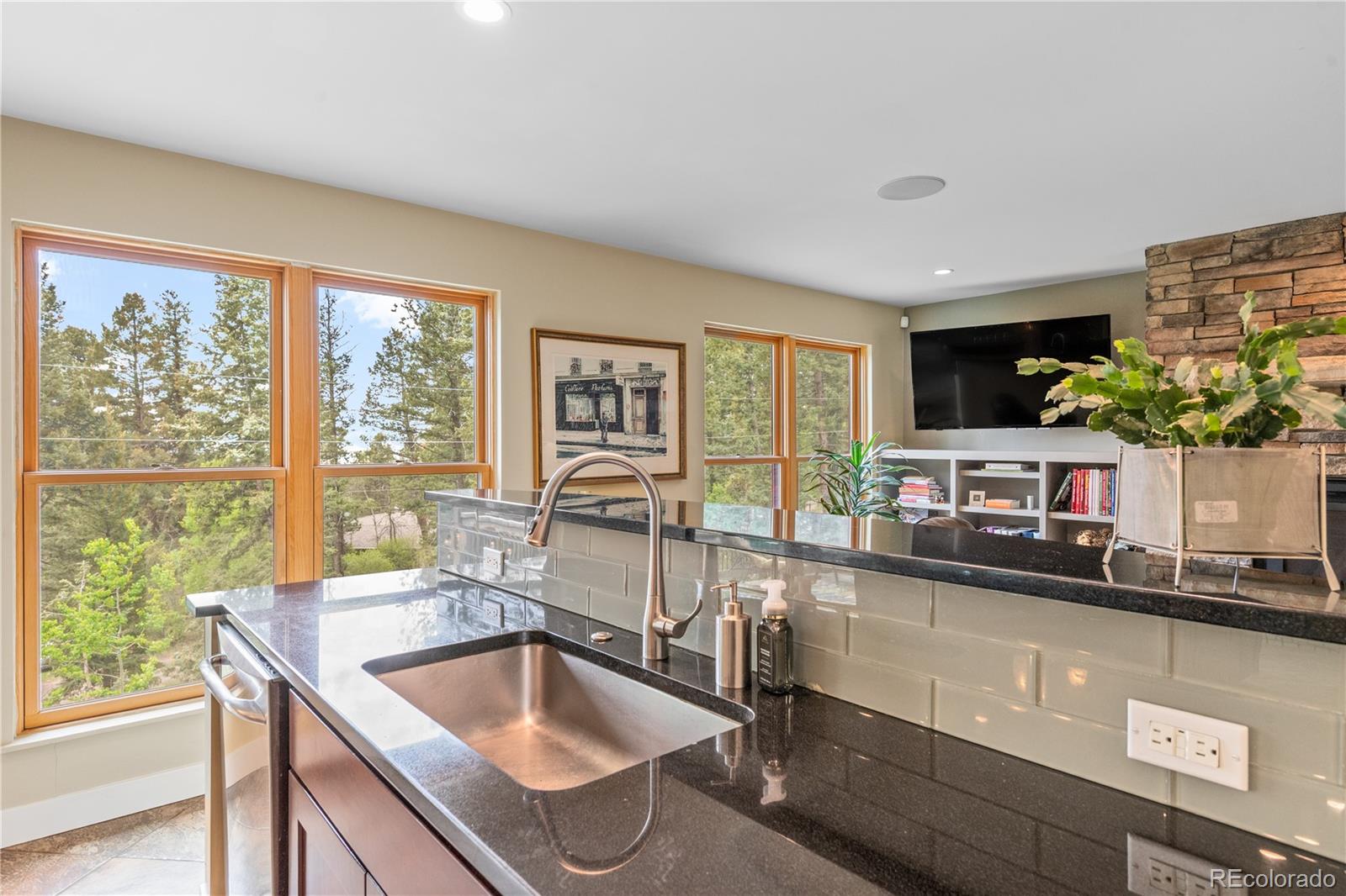 MLS Image #10 for 30824  kings valley drive,conifer, Colorado