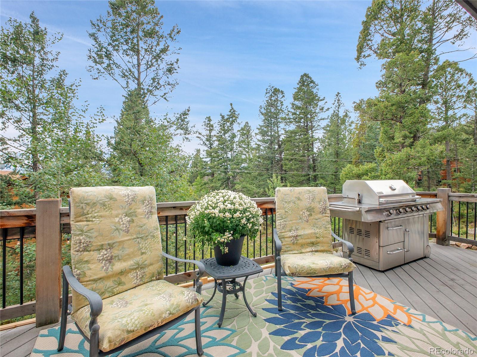MLS Image #14 for 30824  kings valley drive,conifer, Colorado