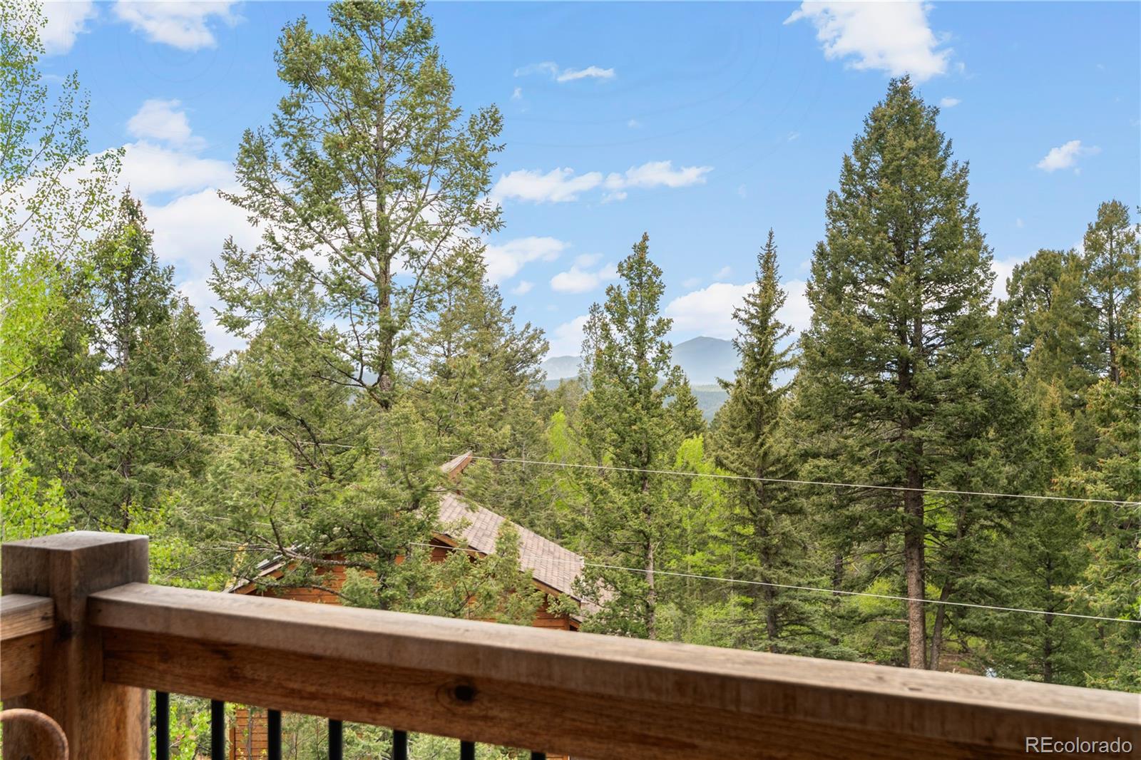 MLS Image #24 for 30824  kings valley drive,conifer, Colorado