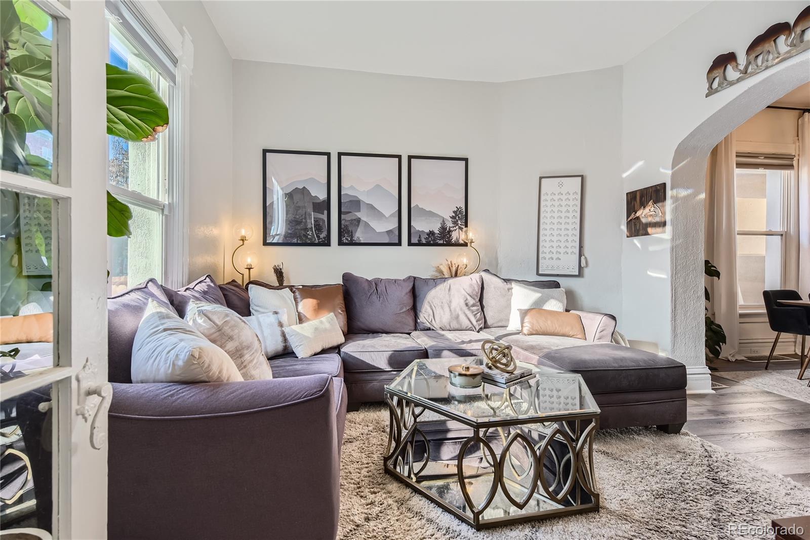 MLS Image #4 for 1227 e martin luther king jr. boulevard,denver, Colorado