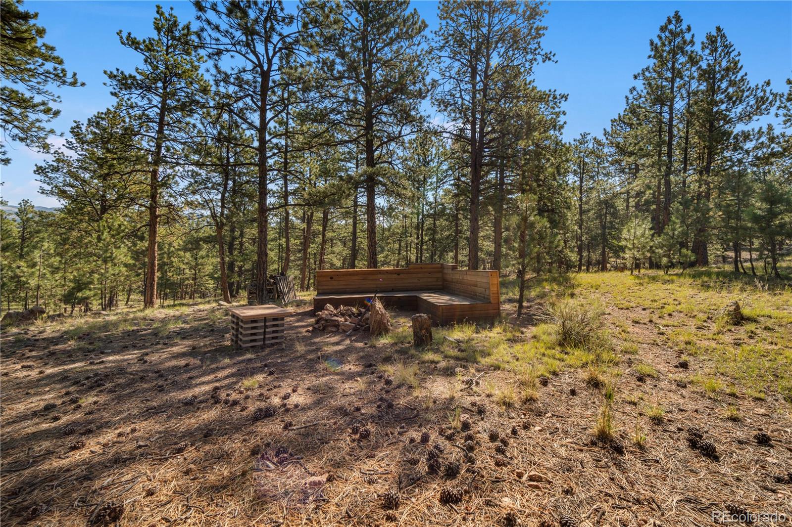 MLS Image #20 for 111  sioux trail,westcliffe, Colorado