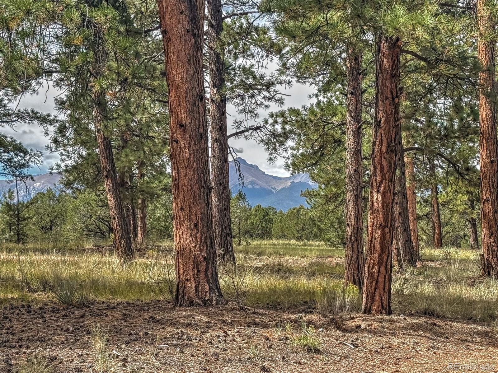 MLS Image #22 for 111  sioux trail,westcliffe, Colorado