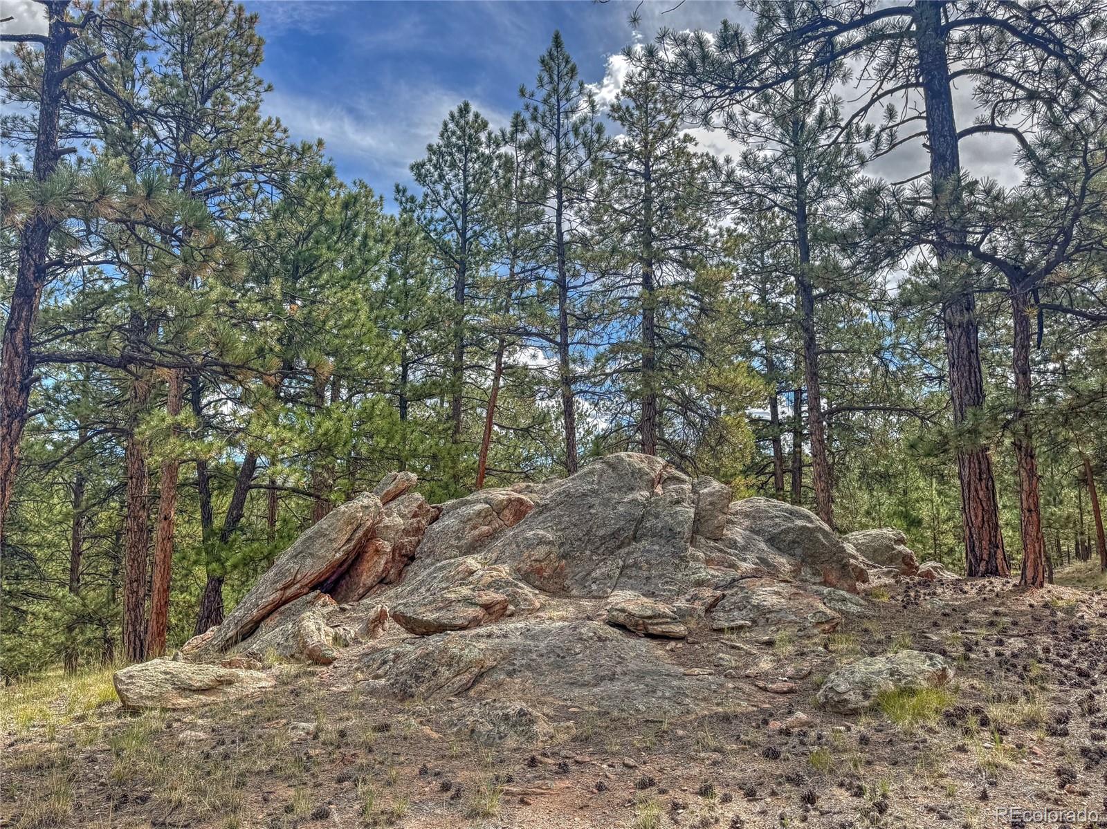 MLS Image #23 for 111  sioux trail,westcliffe, Colorado