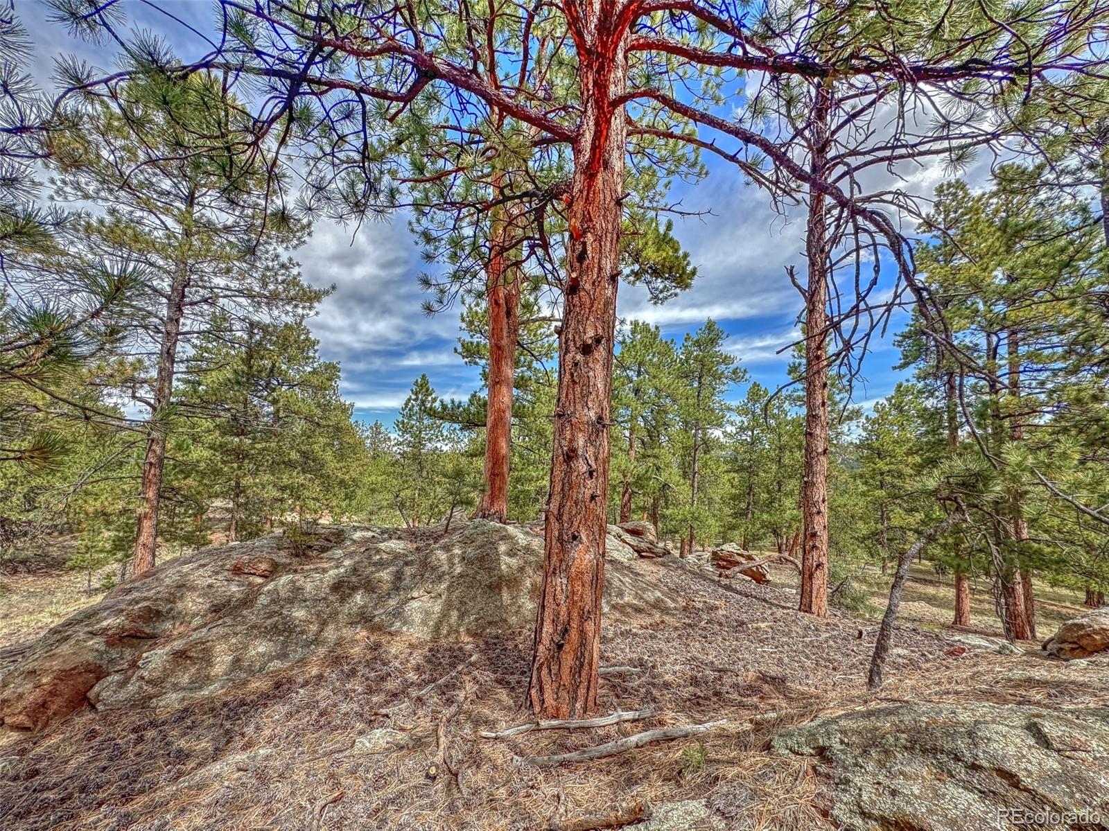 MLS Image #24 for 111  sioux trail,westcliffe, Colorado