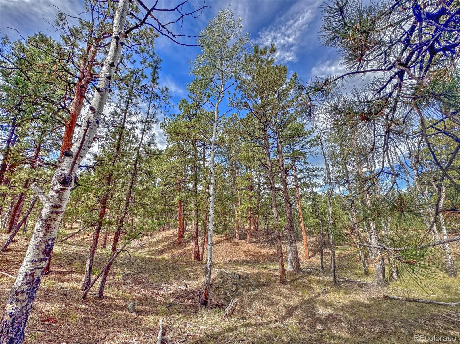 MLS Image #25 for 111  sioux trail,westcliffe, Colorado