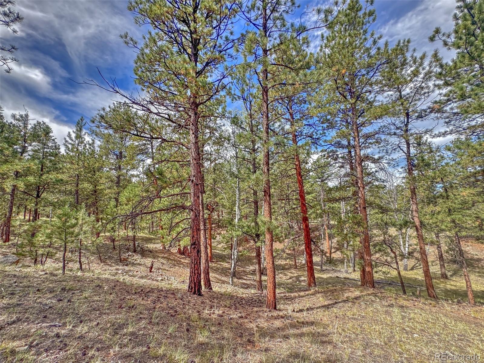 MLS Image #26 for 111  sioux trail,westcliffe, Colorado