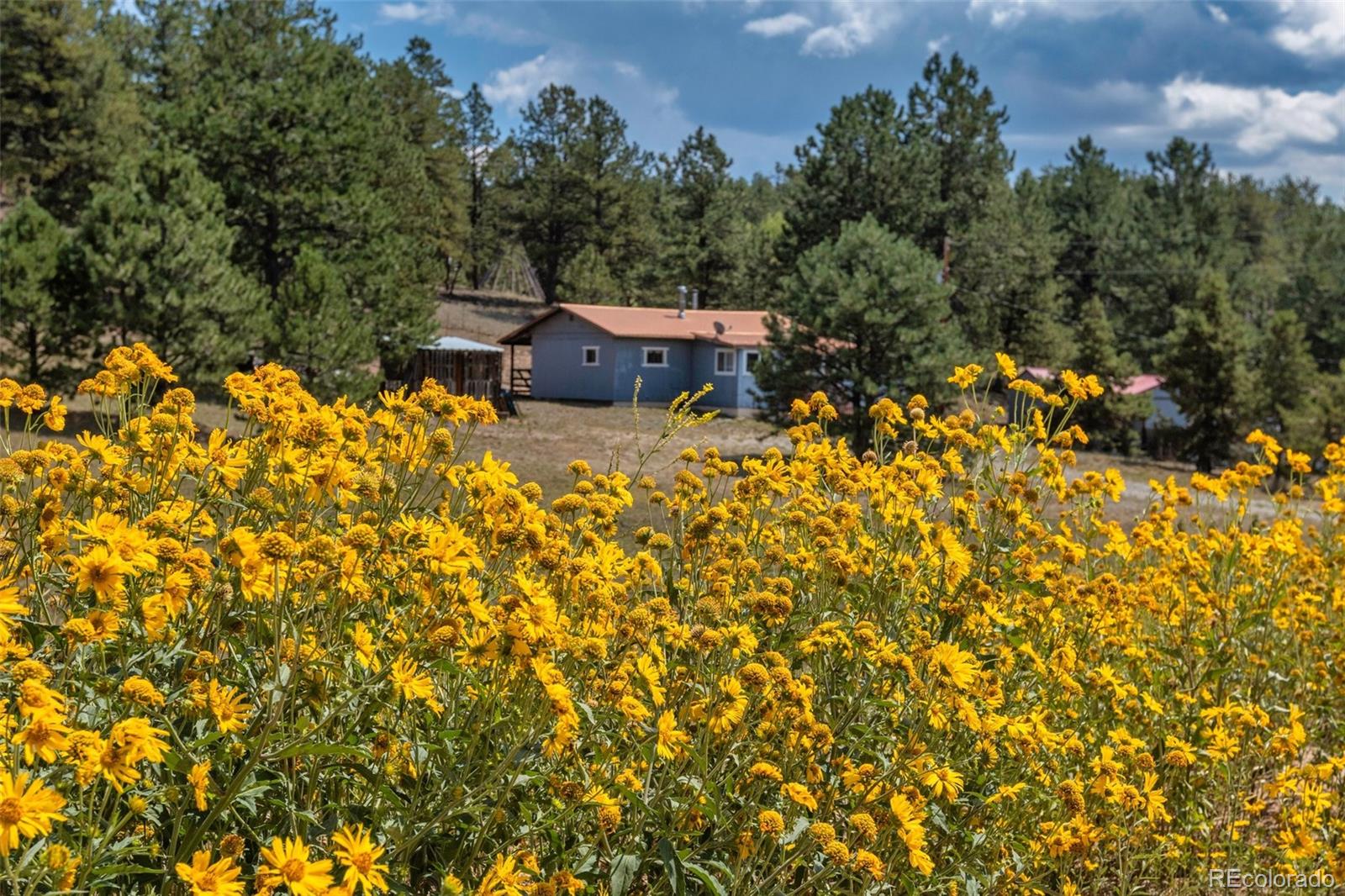 MLS Image #0 for 272  spring valley trail,florissant, Colorado