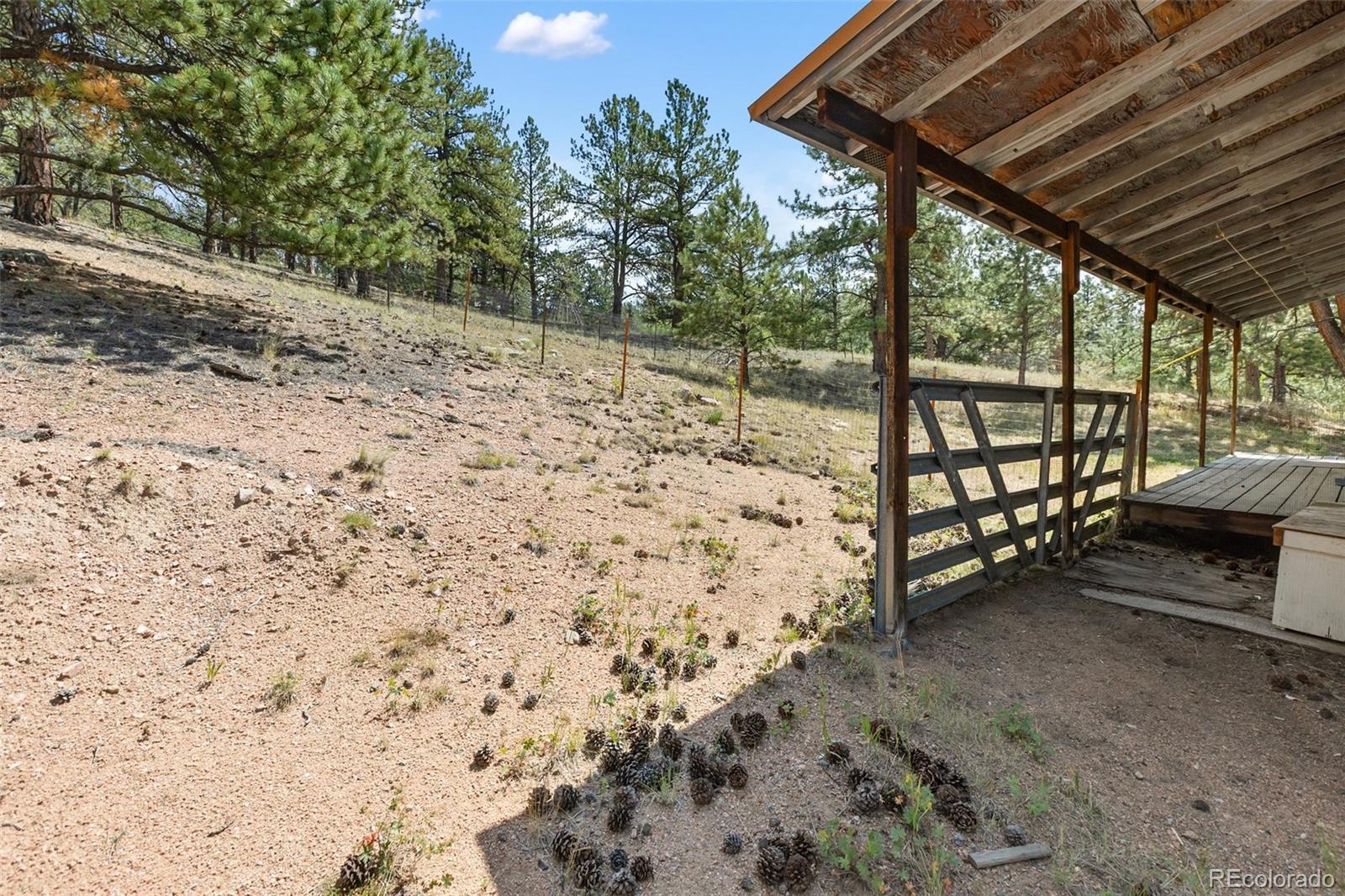 MLS Image #25 for 272  spring valley trail,florissant, Colorado