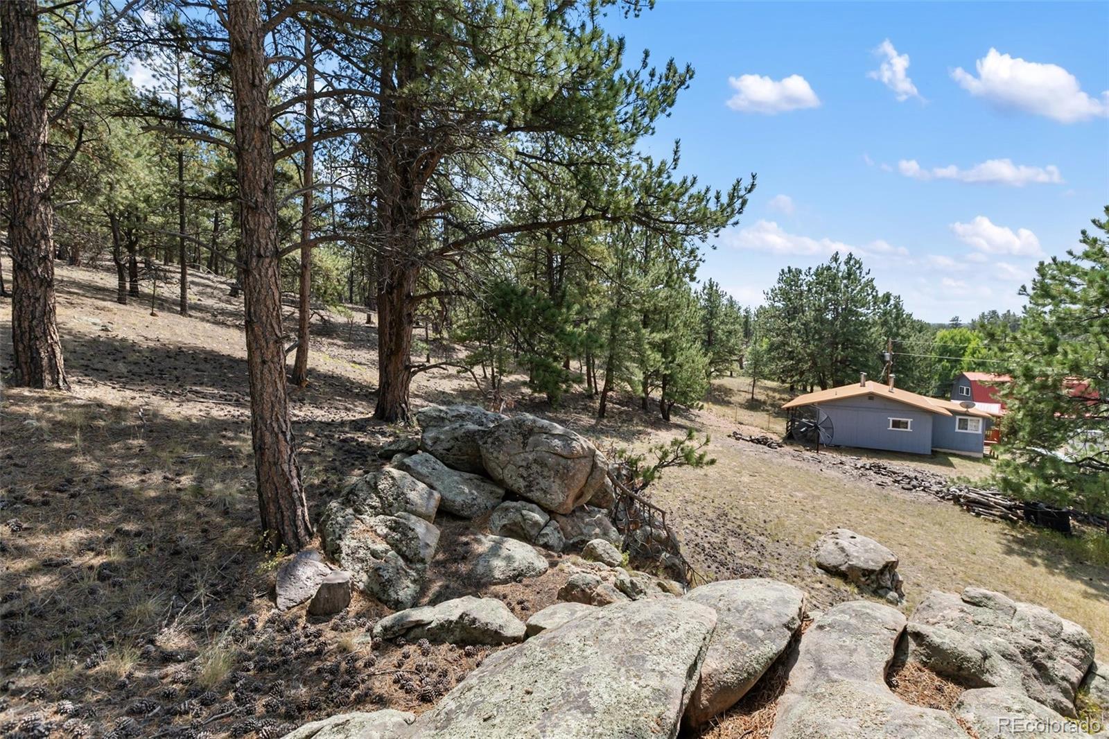 MLS Image #28 for 272  spring valley trail,florissant, Colorado