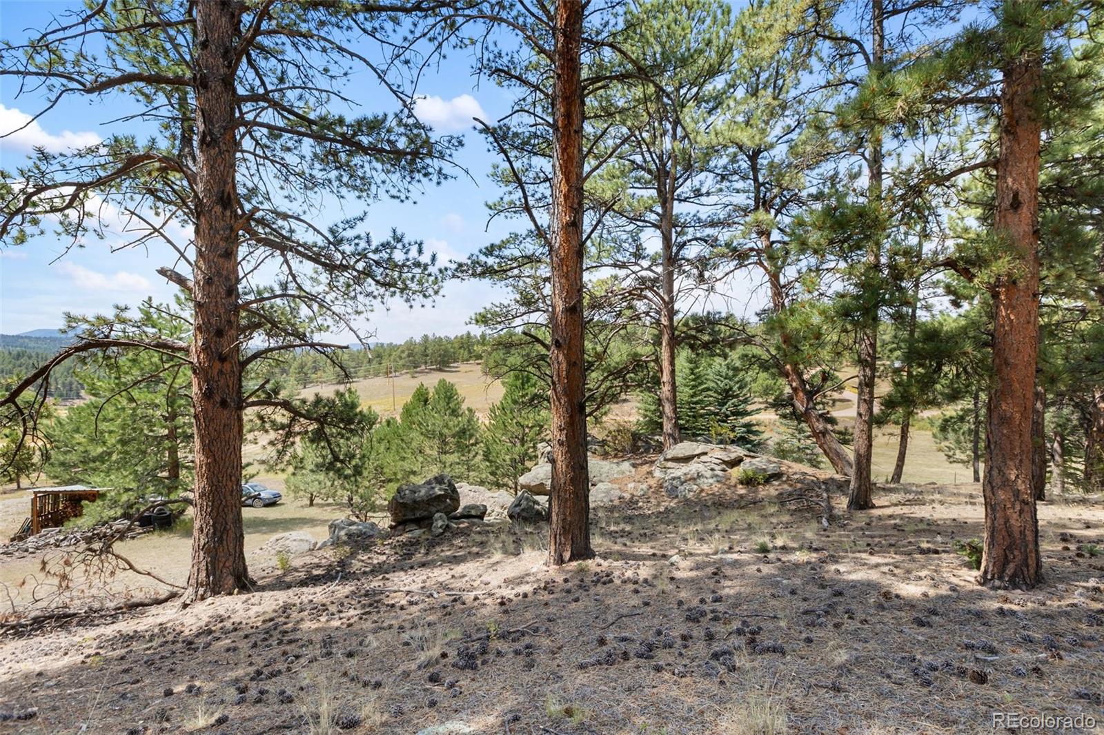 MLS Image #29 for 272  spring valley trail,florissant, Colorado