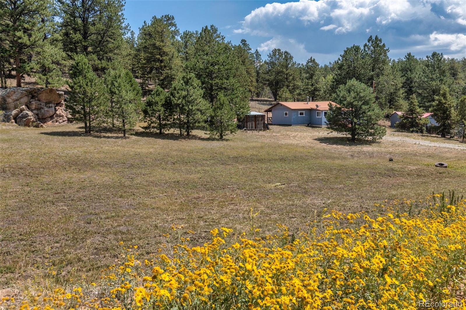 MLS Image #3 for 272  spring valley trail,florissant, Colorado