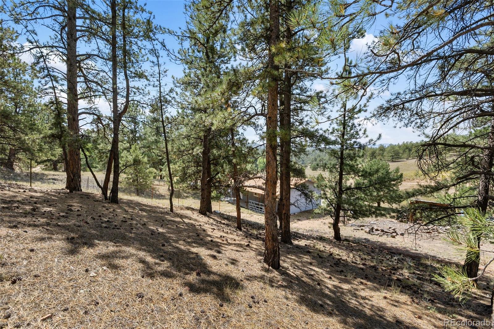 MLS Image #30 for 272  spring valley trail,florissant, Colorado