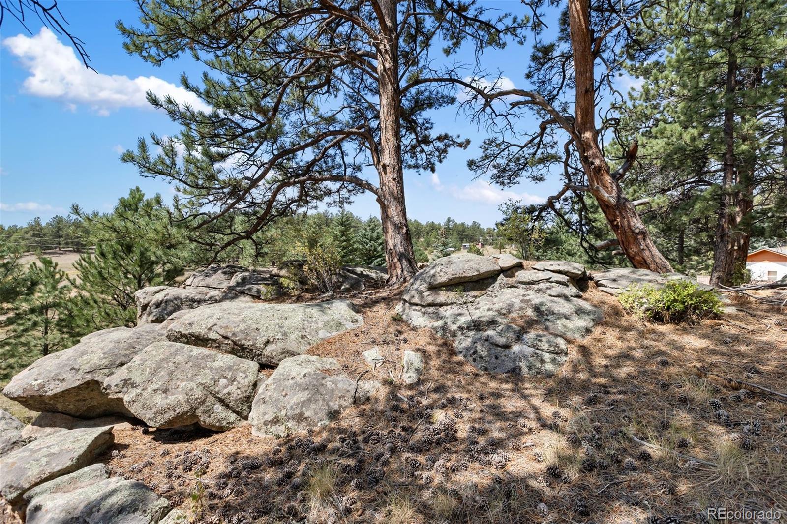 MLS Image #31 for 272  spring valley trail,florissant, Colorado