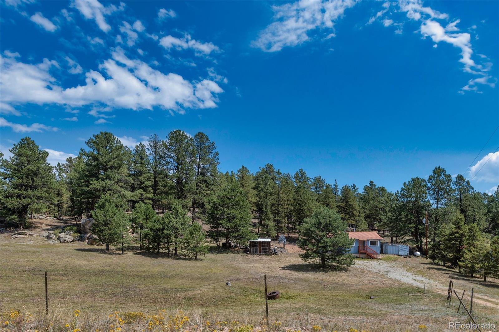 MLS Image #34 for 272  spring valley trail,florissant, Colorado