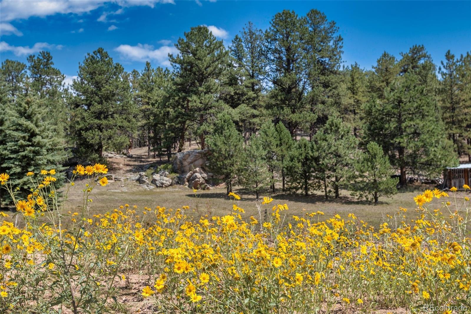MLS Image #36 for 272  spring valley trail,florissant, Colorado