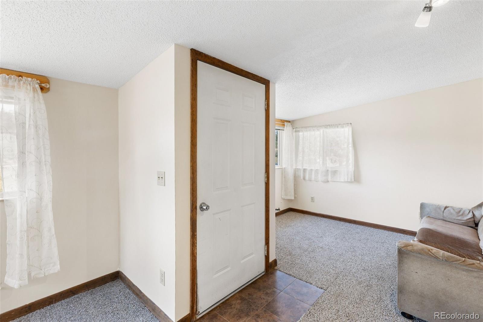 MLS Image #4 for 272  spring valley trail,florissant, Colorado