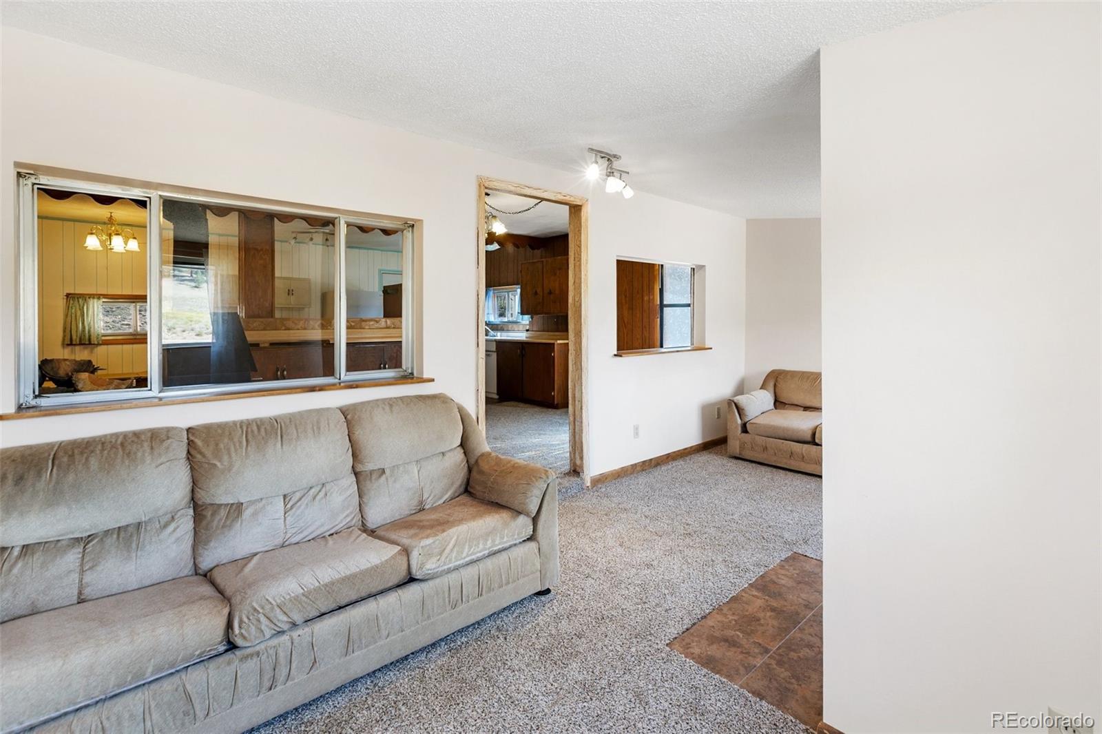 MLS Image #5 for 272  spring valley trail,florissant, Colorado