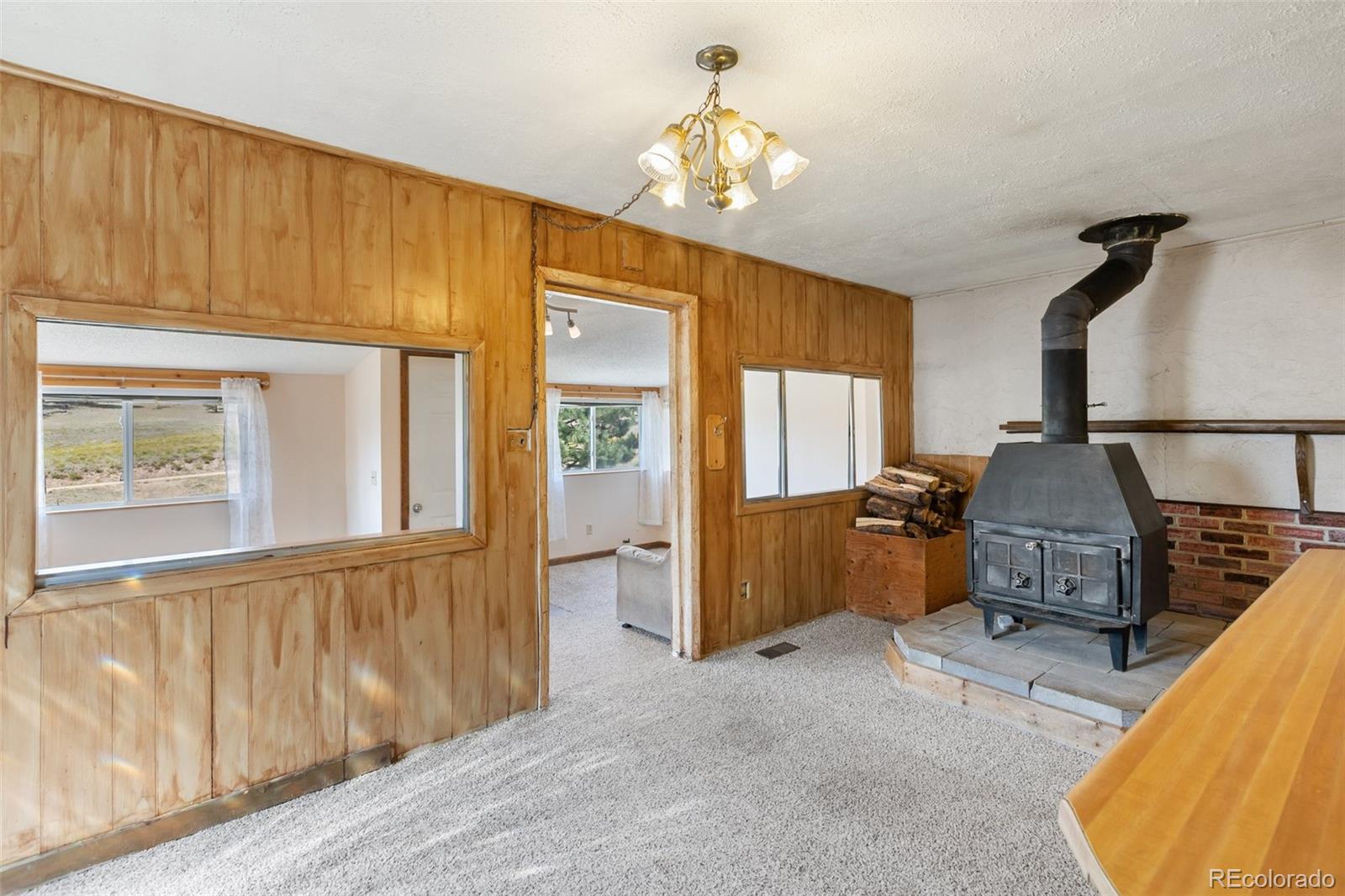 MLS Image #8 for 272  spring valley trail,florissant, Colorado