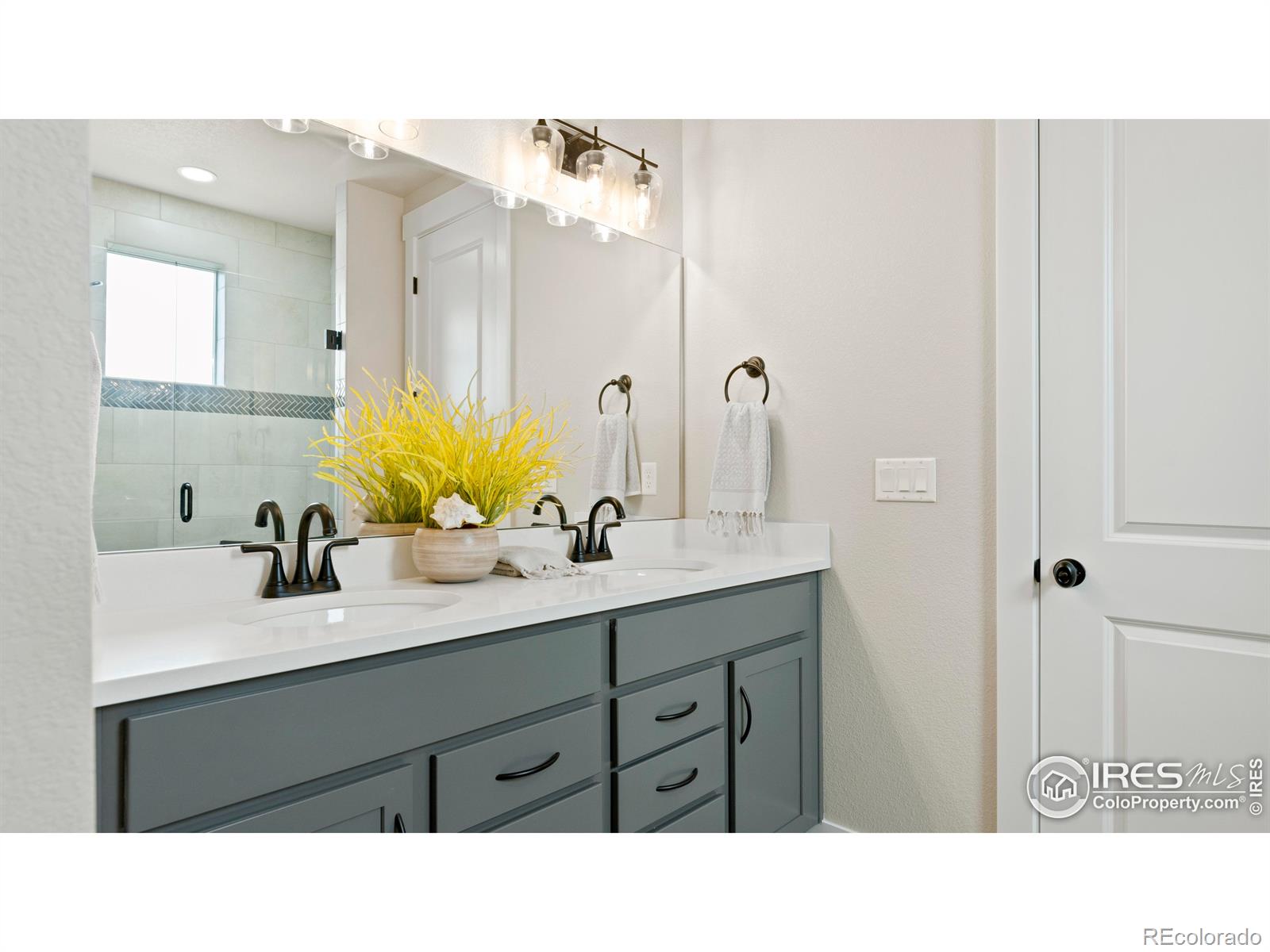 MLS Image #12 for 6226  vernazza way,windsor, Colorado