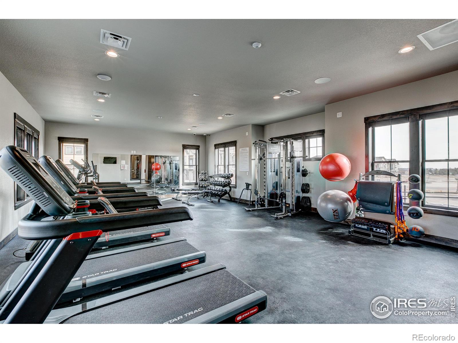 MLS Image #23 for 6226  vernazza way,windsor, Colorado