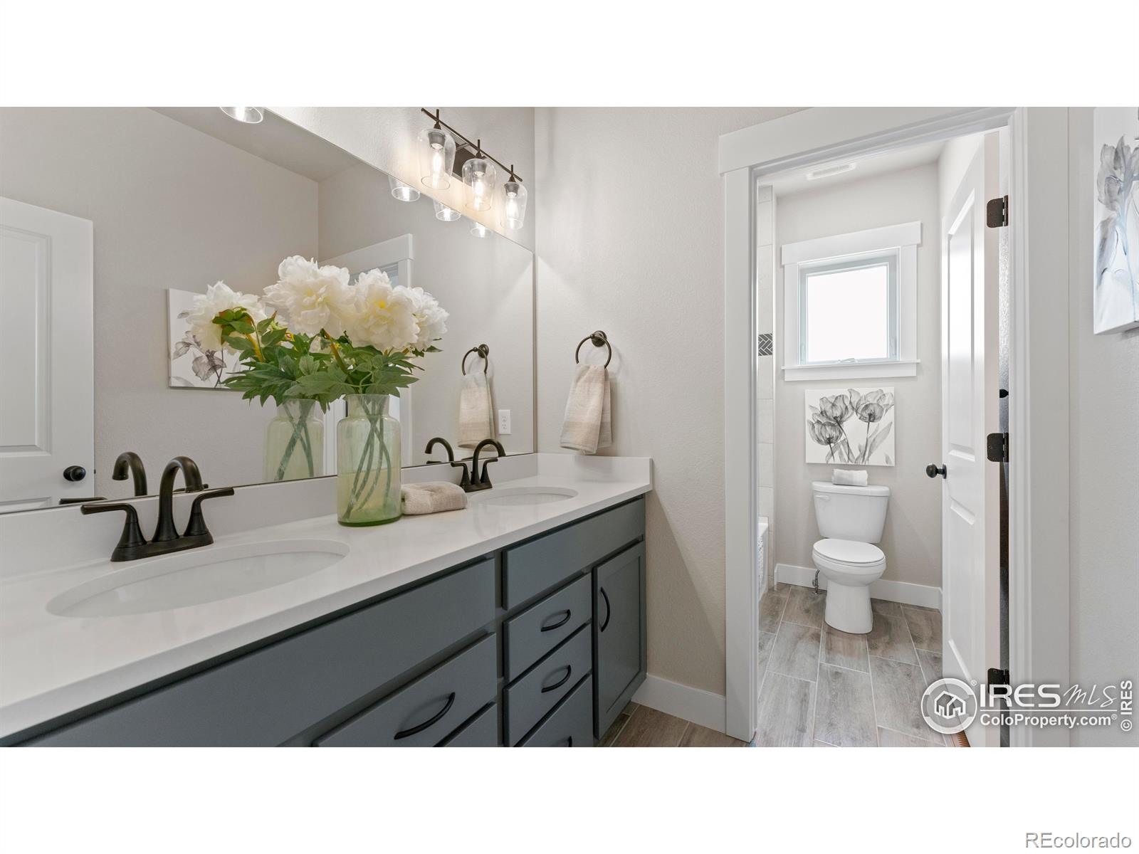 MLS Image #13 for 6227  vernazza way,windsor, Colorado