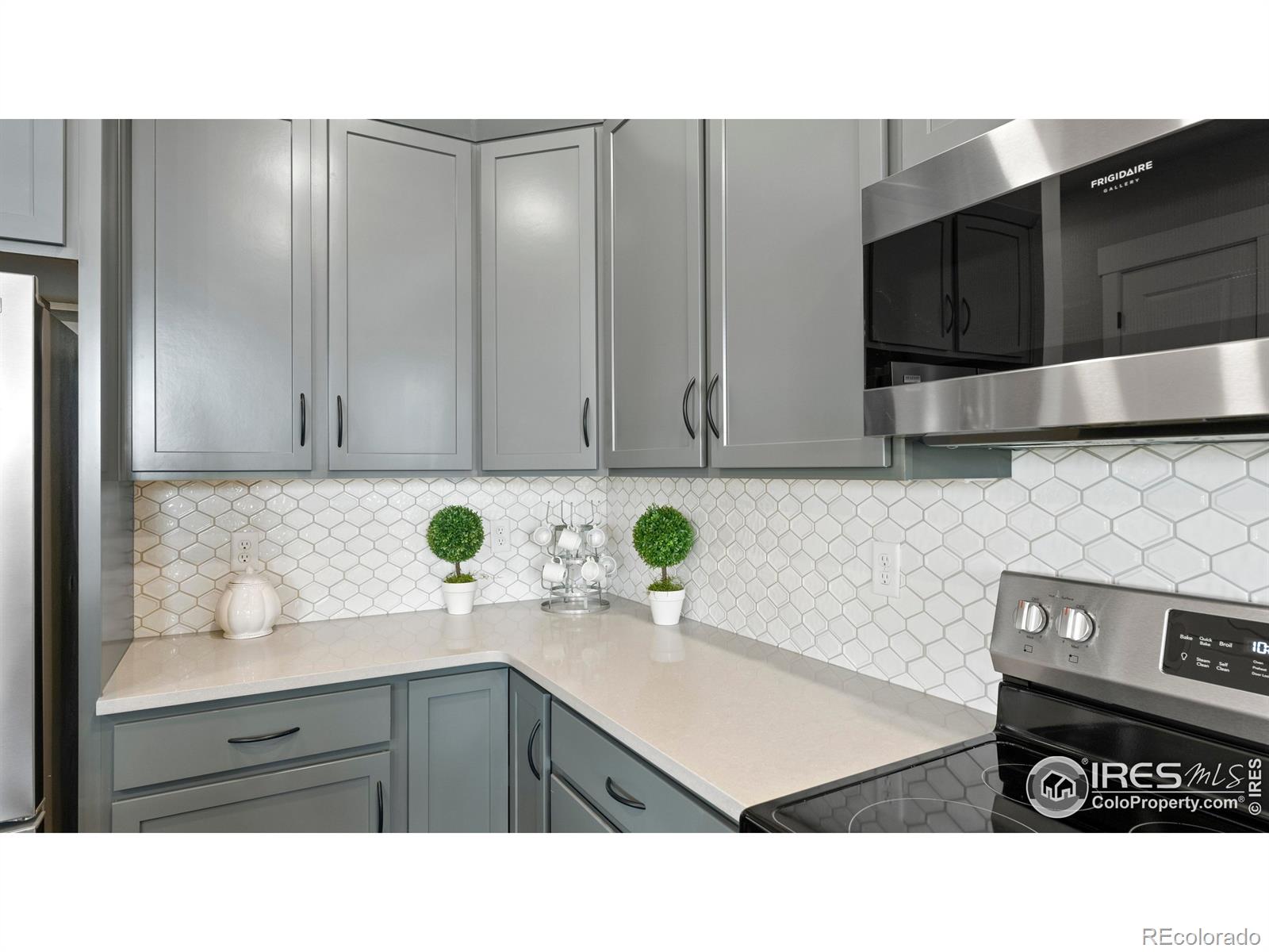 MLS Image #4 for 6227  vernazza way,windsor, Colorado