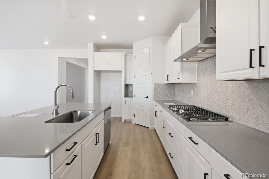 MLS Image #4 for 8872  pennycress drive,littleton, Colorado