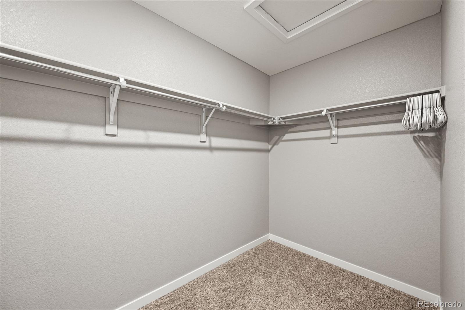 MLS Image #19 for 2248  rosette lane,castle rock, Colorado