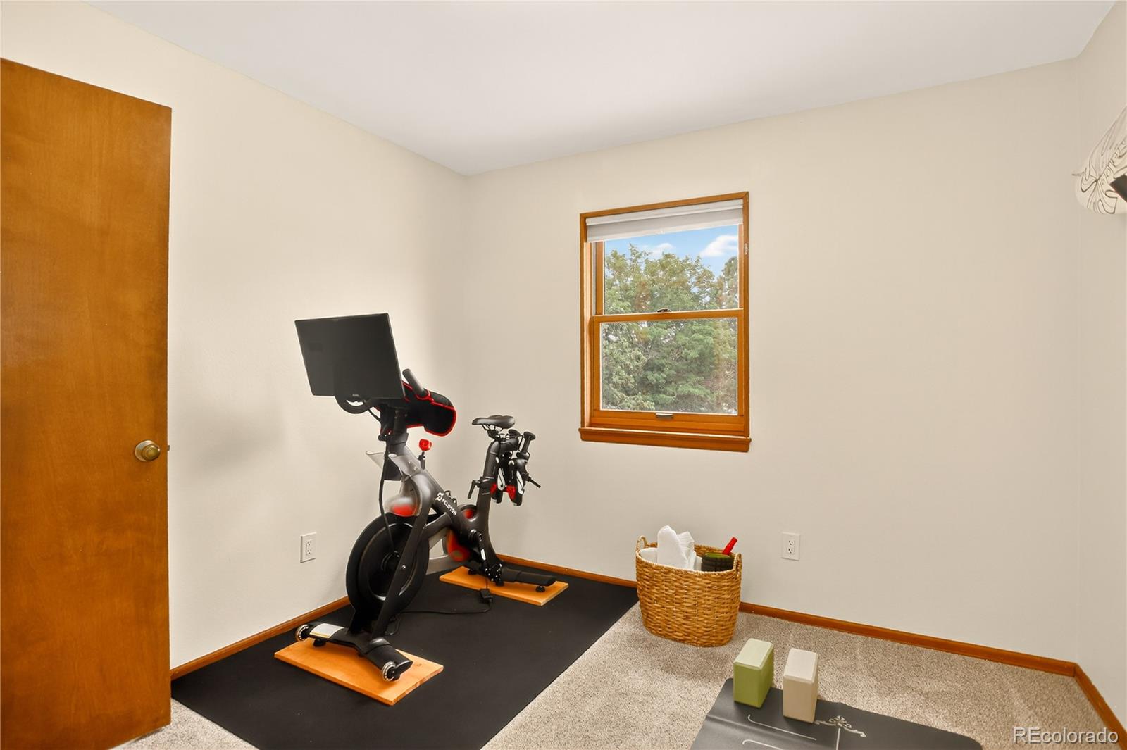 MLS Image #11 for 920  grey eagle circle,colorado springs, Colorado