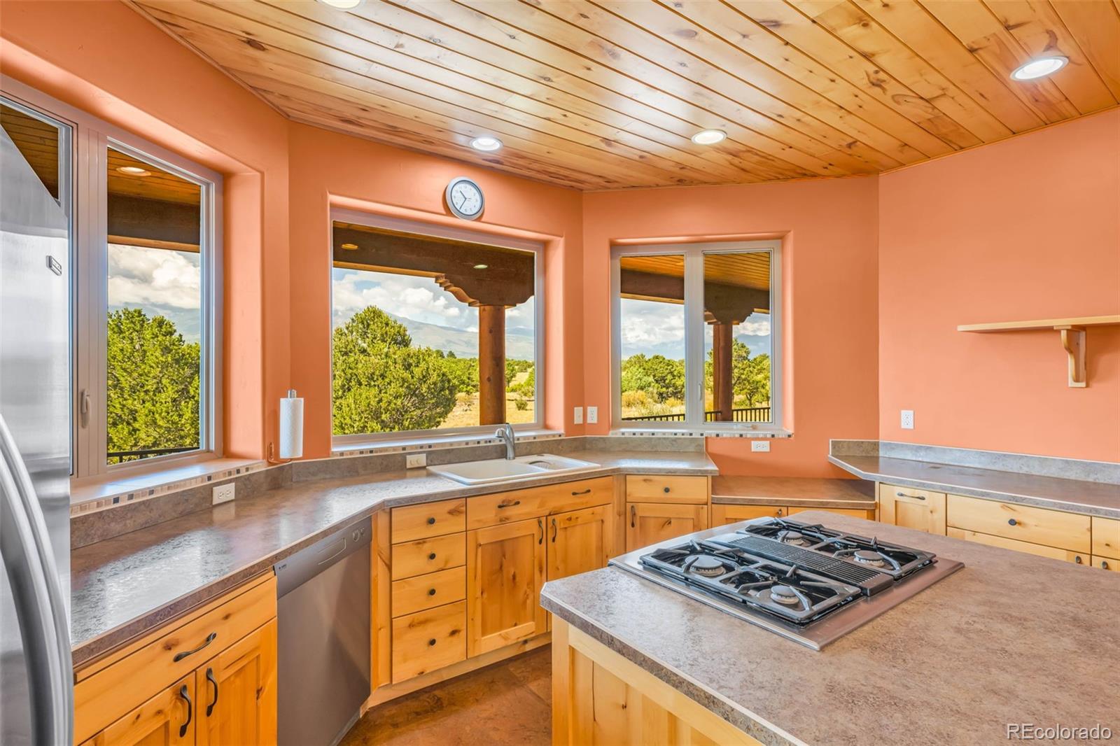 MLS Image #4 for 692  sunrise ridge ,cotopaxi, Colorado
