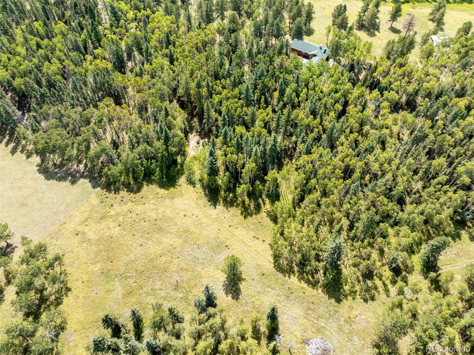 MLS Image #39 for 284  county road 511 road,divide, Colorado