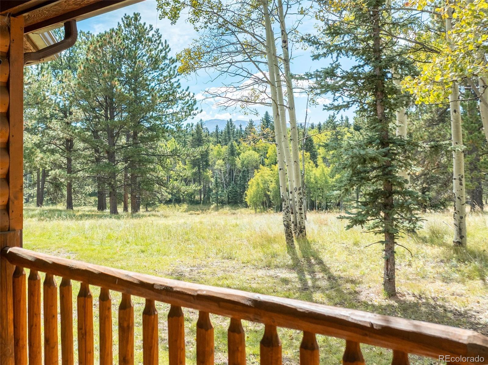 MLS Image #4 for 284  county road 511 road,divide, Colorado