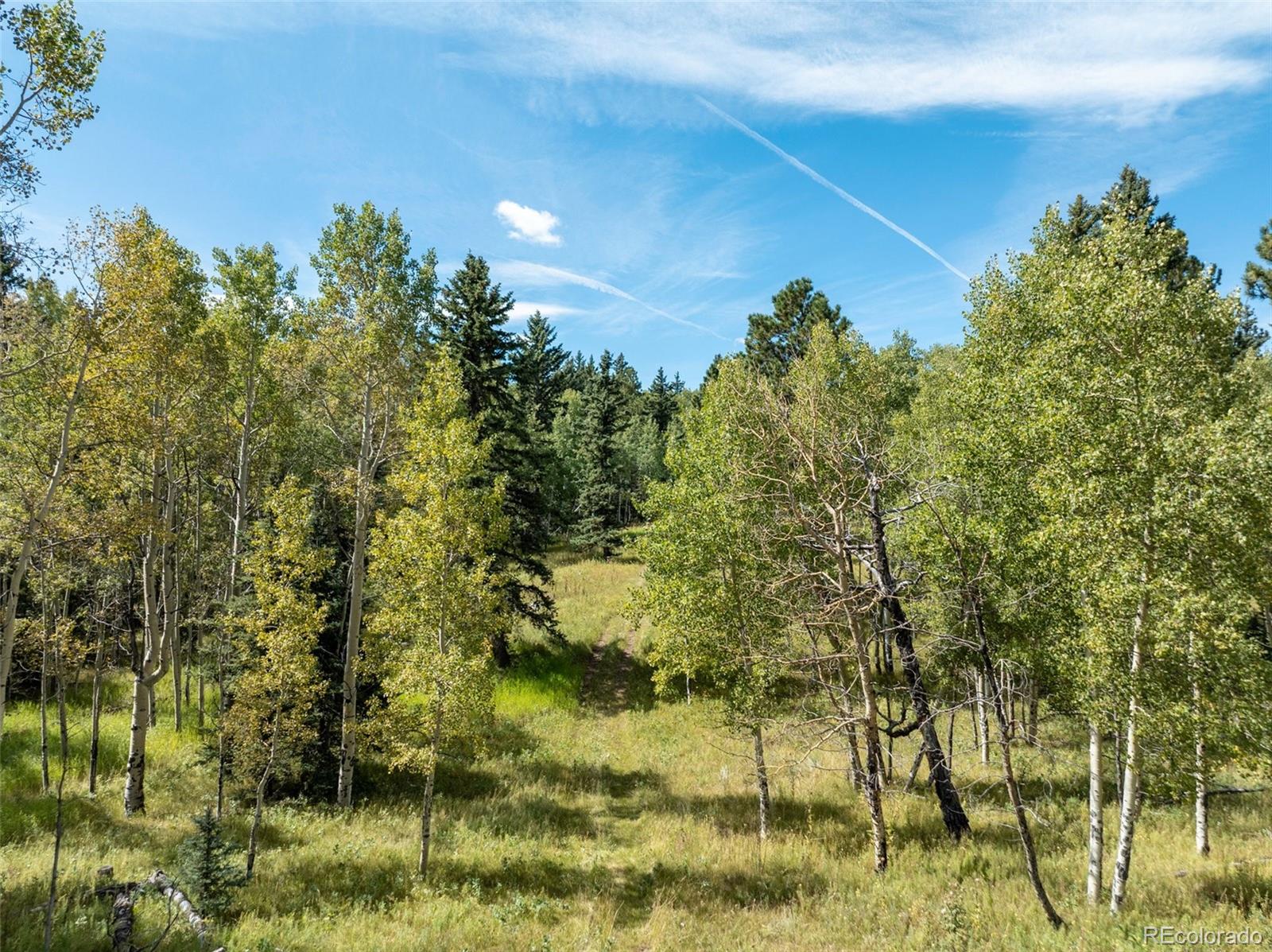 MLS Image #42 for 284  county road 511 road,divide, Colorado