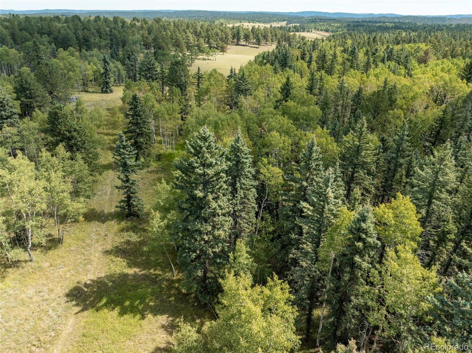 MLS Image #43 for 284  county road 511 road,divide, Colorado