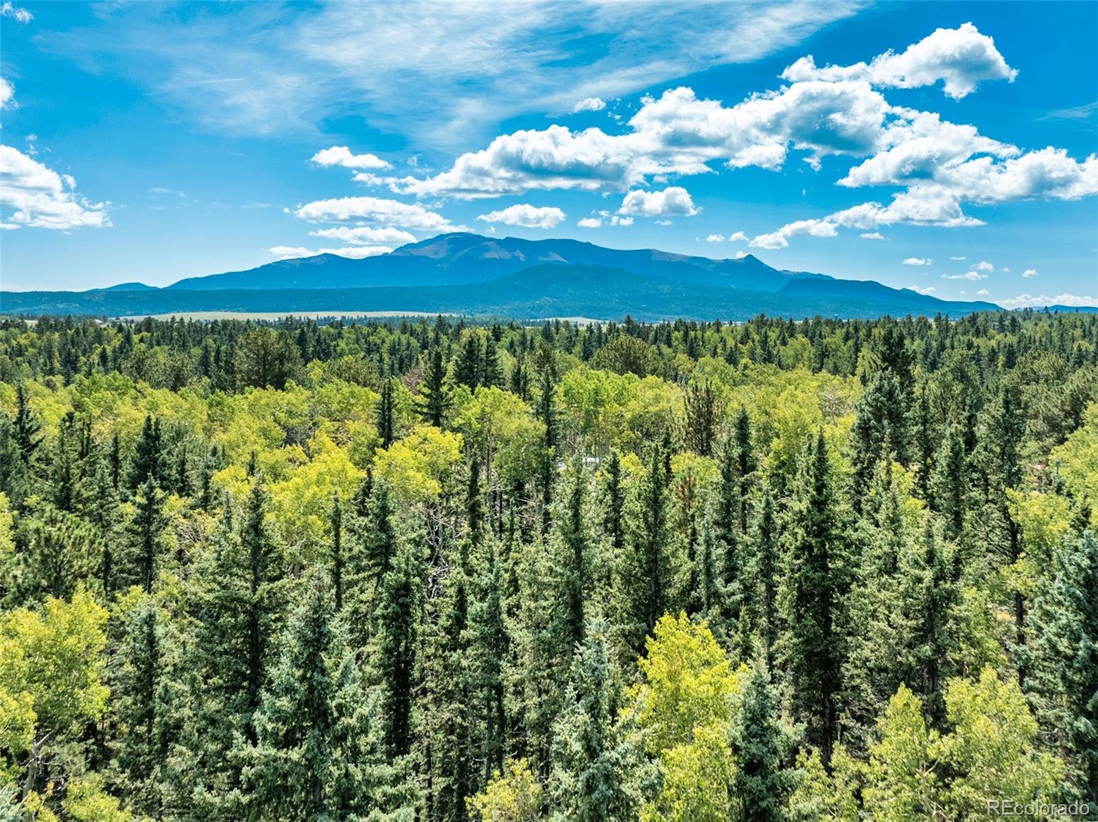 MLS Image #45 for 284  county road 511 road,divide, Colorado