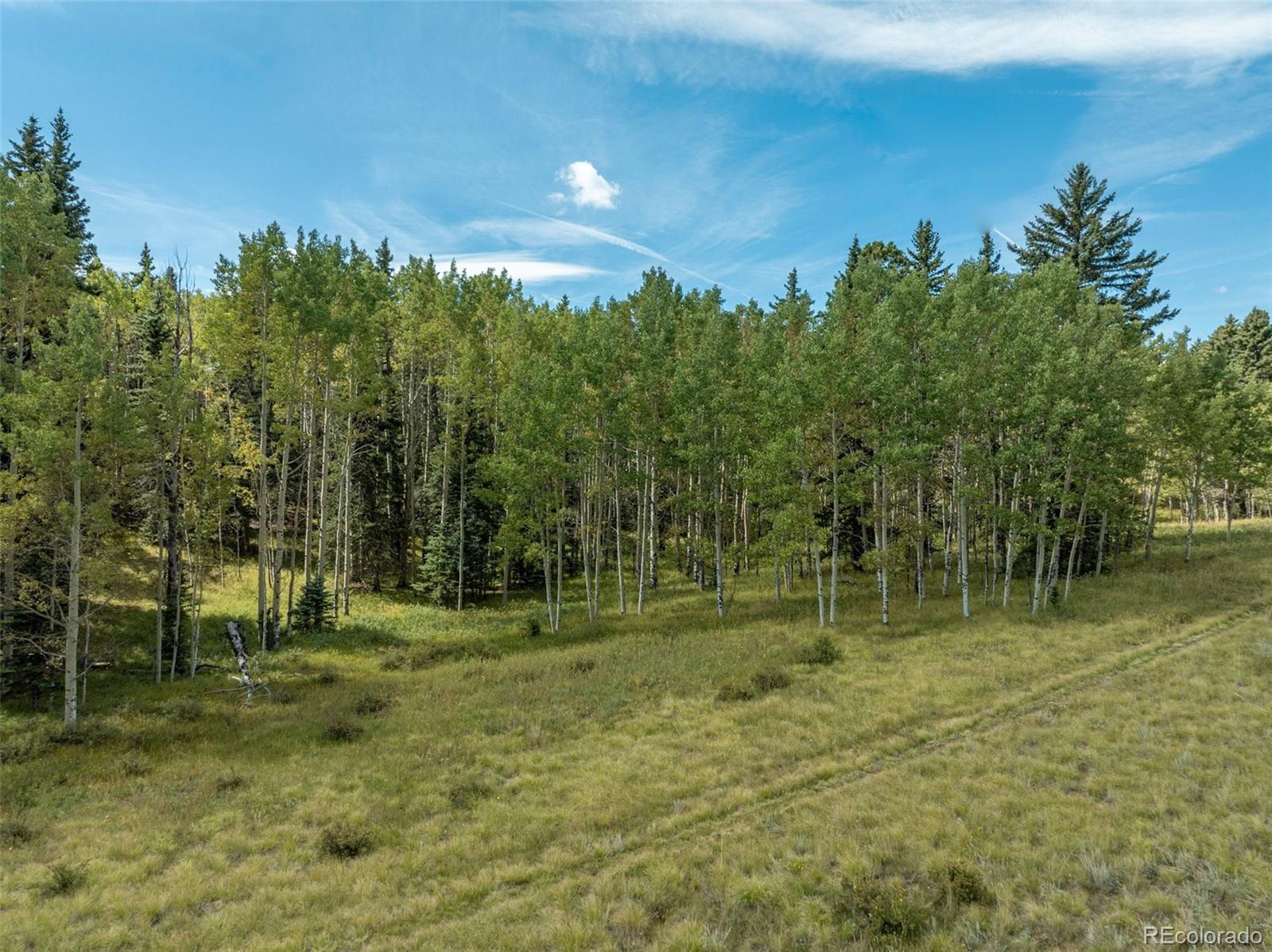 MLS Image #47 for 284  county road 511 road,divide, Colorado