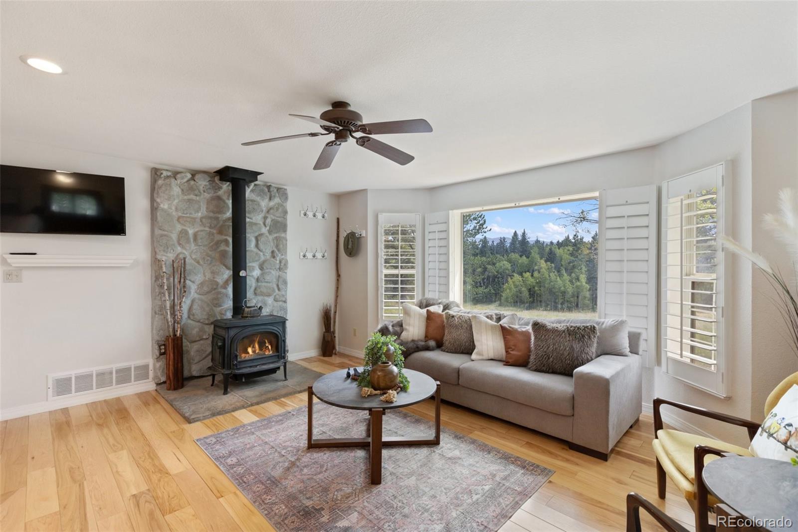 MLS Image #6 for 284  county road 511 road,divide, Colorado