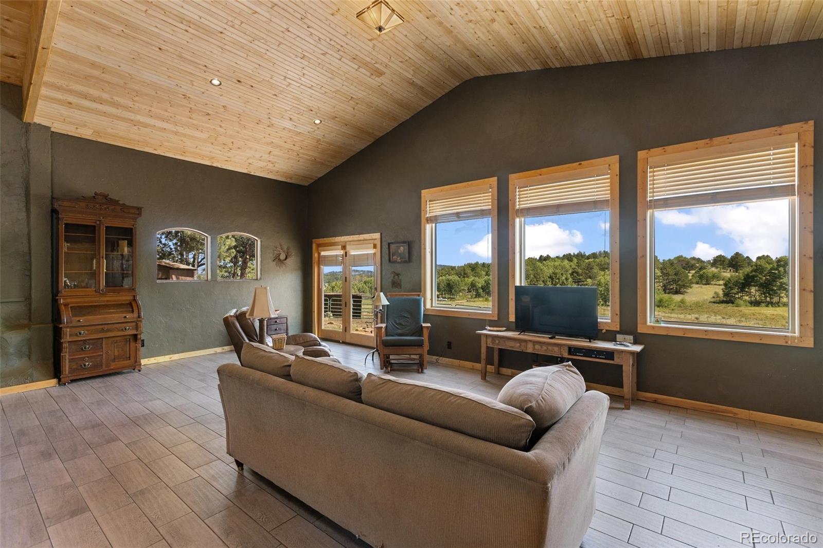MLS Image #10 for 3153  homestake place,florissant, Colorado