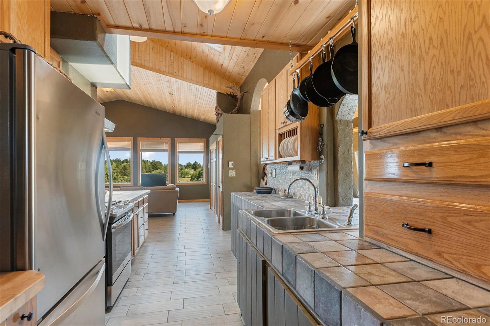 MLS Image #16 for 3153  homestake place,florissant, Colorado