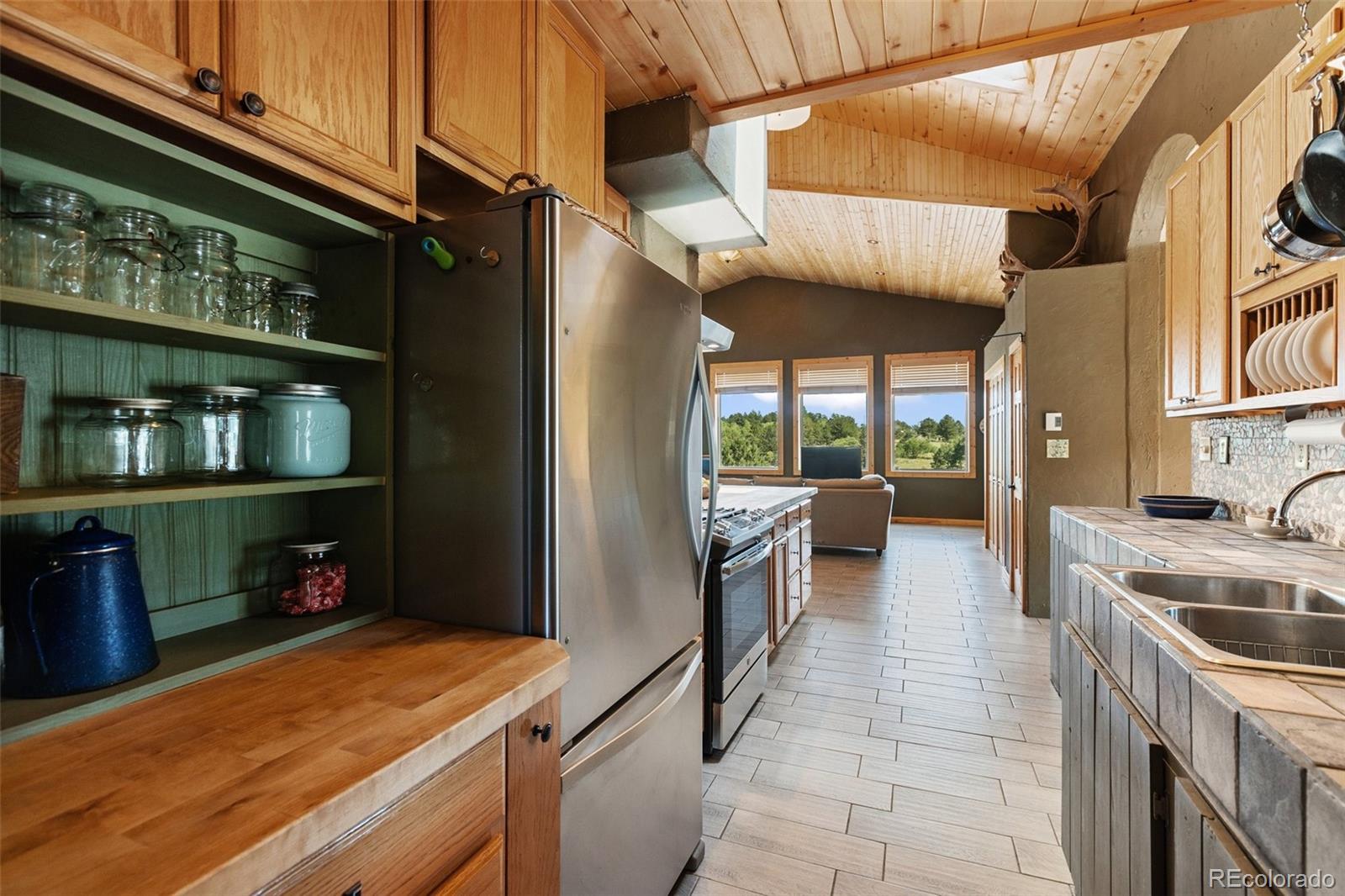 MLS Image #18 for 3153  homestake place,florissant, Colorado