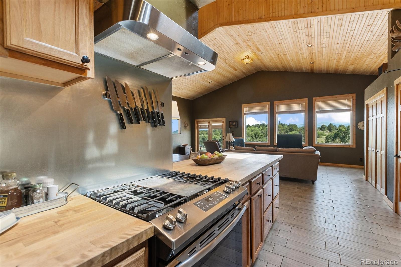 MLS Image #19 for 3153  homestake place,florissant, Colorado