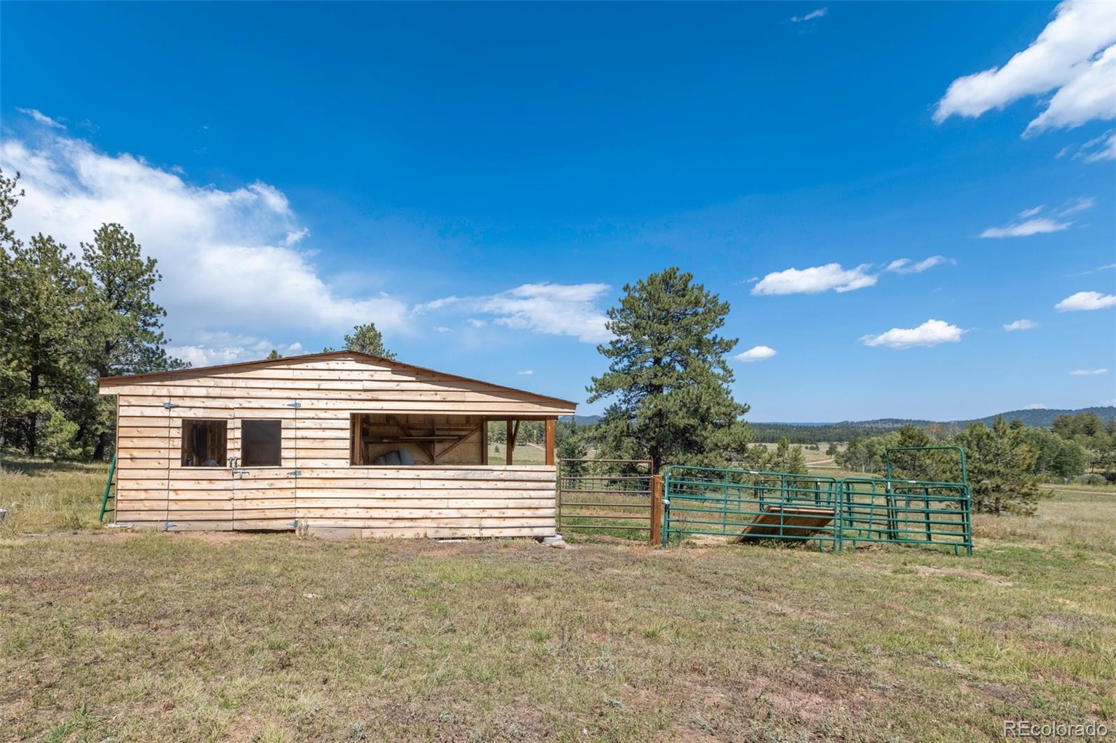 MLS Image #20 for 3153  homestake place,florissant, Colorado