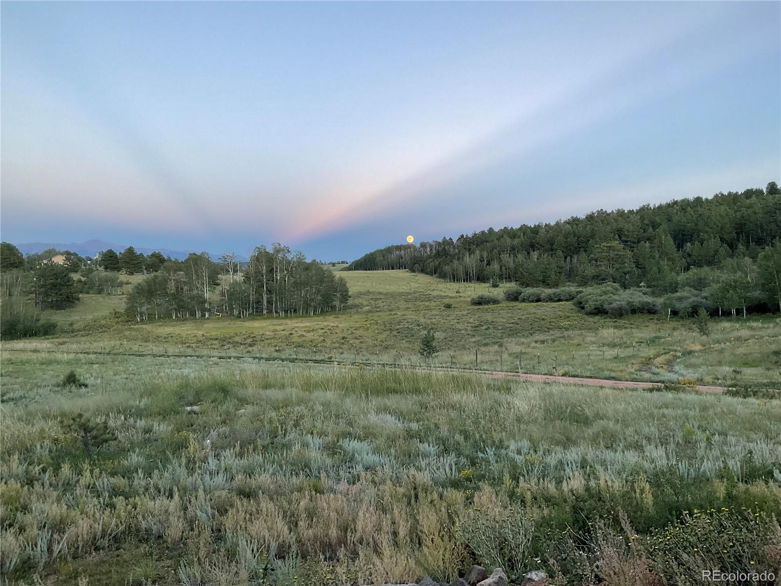 MLS Image #28 for 3153  homestake place,florissant, Colorado