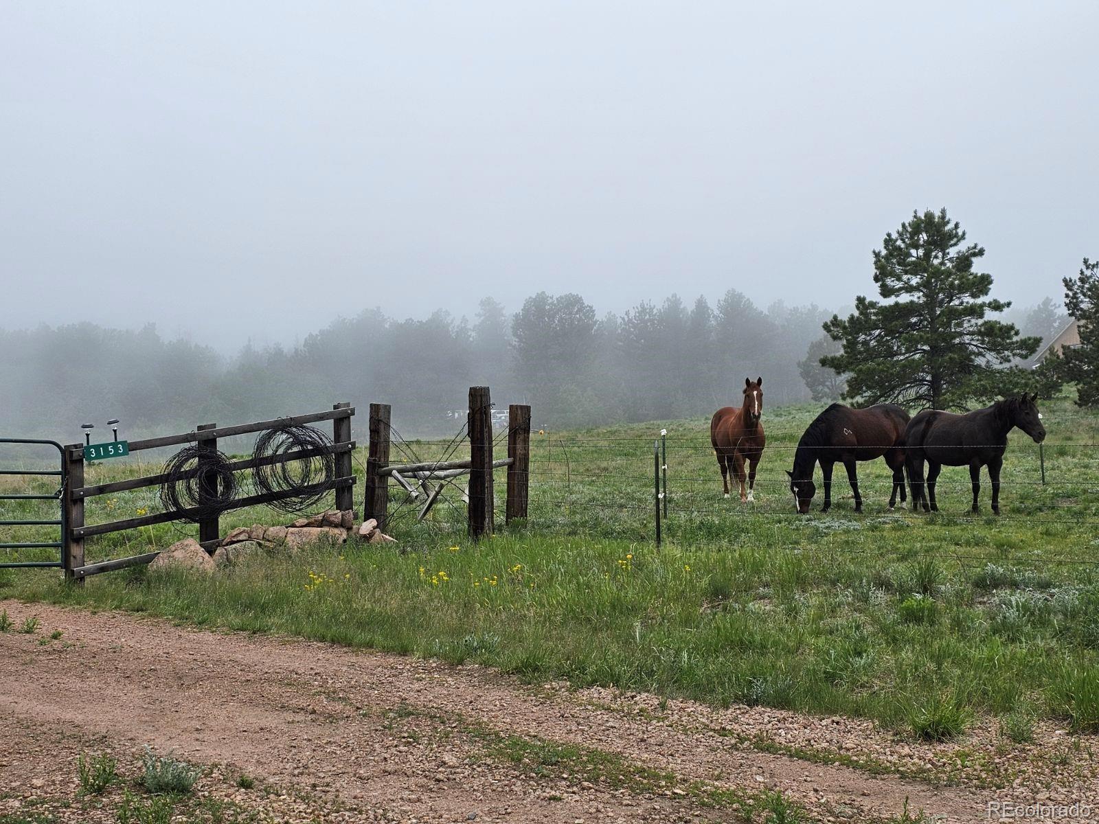 MLS Image #29 for 3153  homestake place,florissant, Colorado